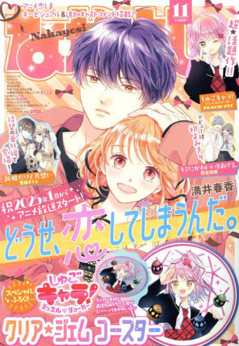 NAKAYOSHI 2024 Nº 11 (JAPONÉS)